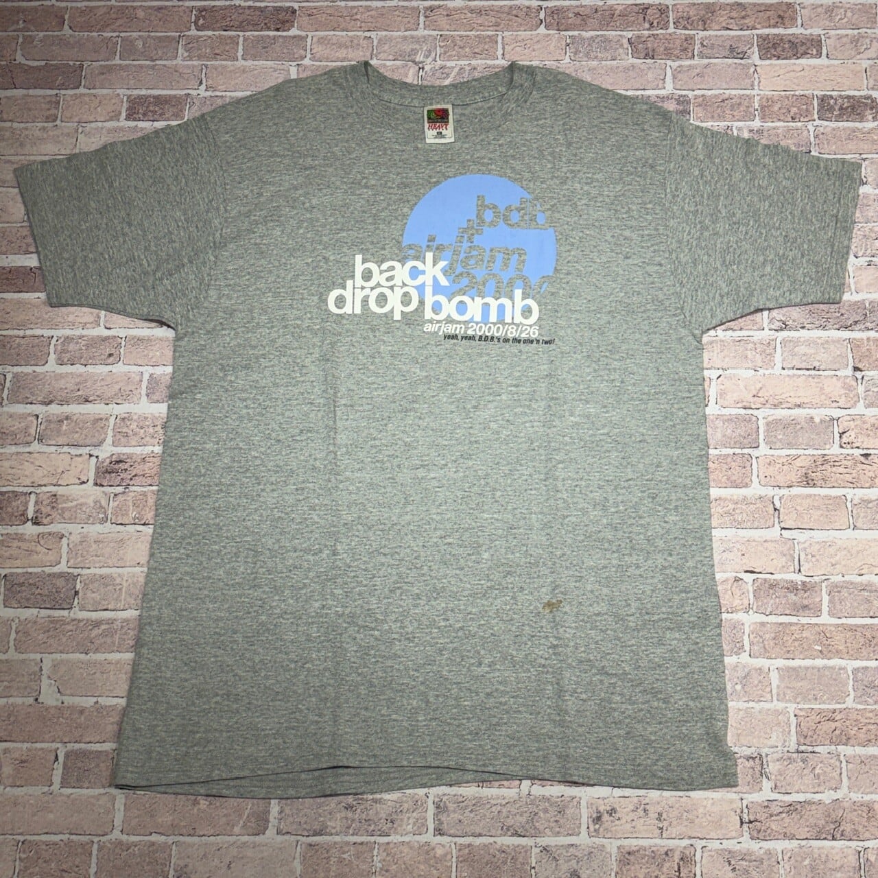 2000s BACK DROP BOMB T-SHIRT GRAY | safarionline