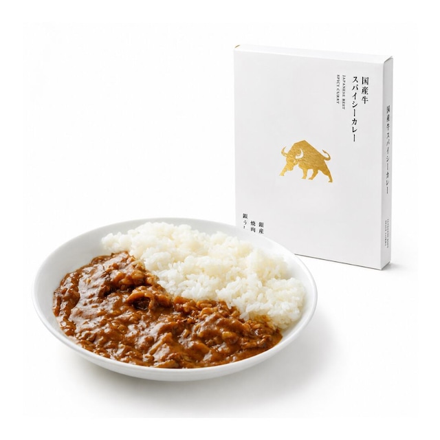 【ご自宅用】国産牛スパイシーカレー