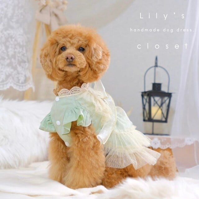 受注/ Lily 001【Fairy Collection】☆人気アイテム 受注/ Lily 001【Fairy Collection】☆人気アイテム