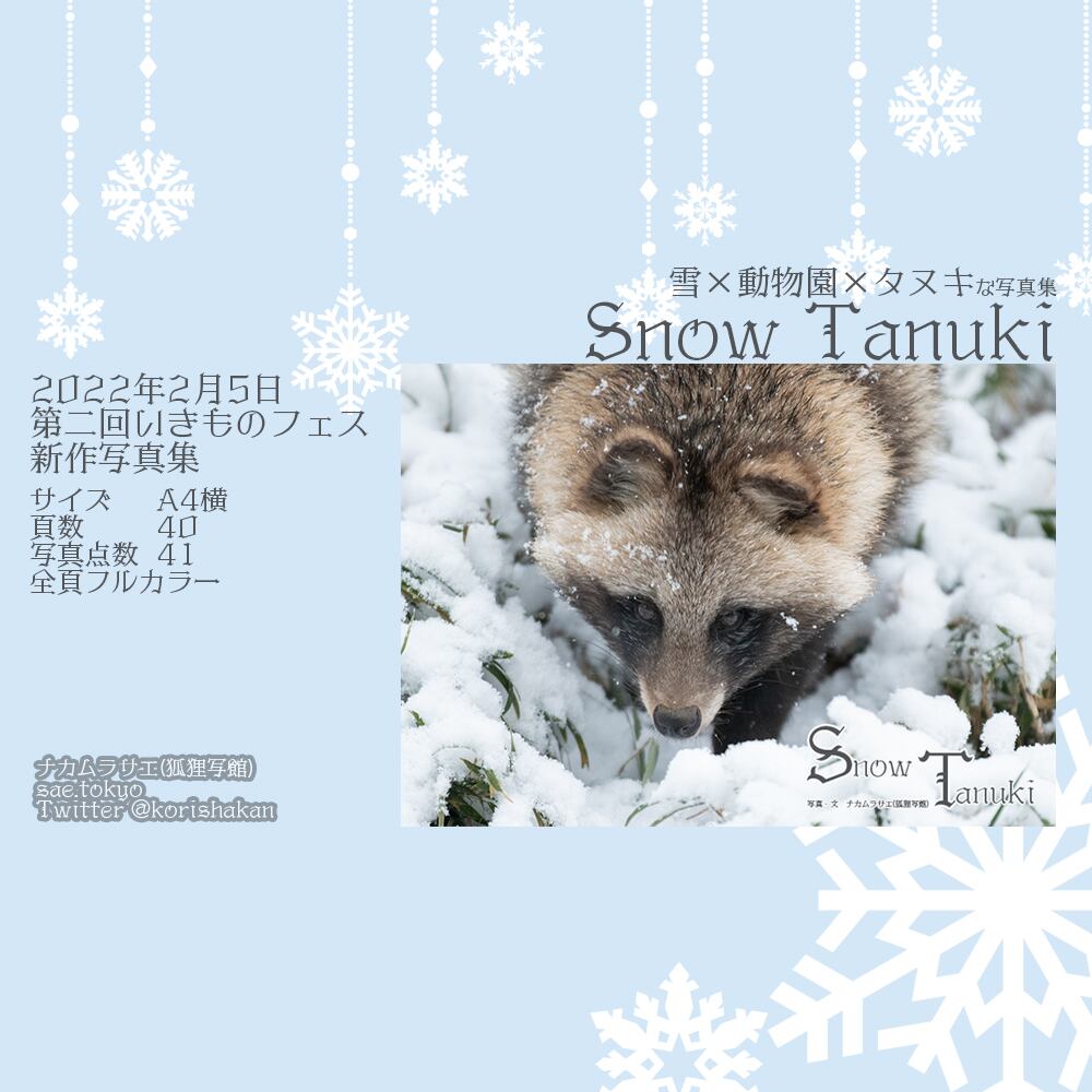 Ｋ－ｔａｎｕｋｉページ ホンドタヌキ写真集「Snow Tanuki」 | 狐狸写館
