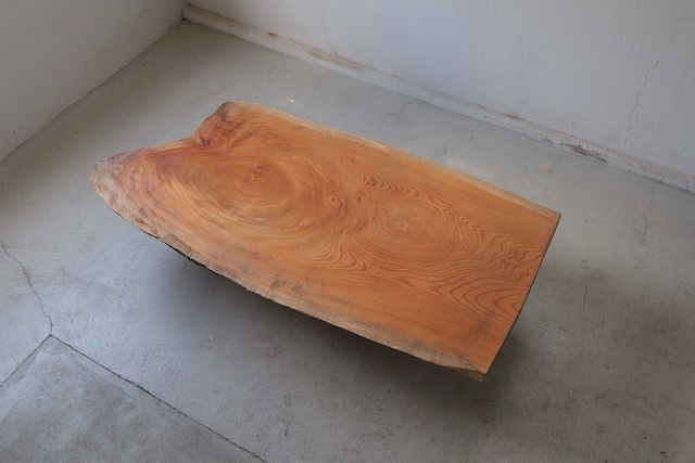 欅 Japanese Zelkova