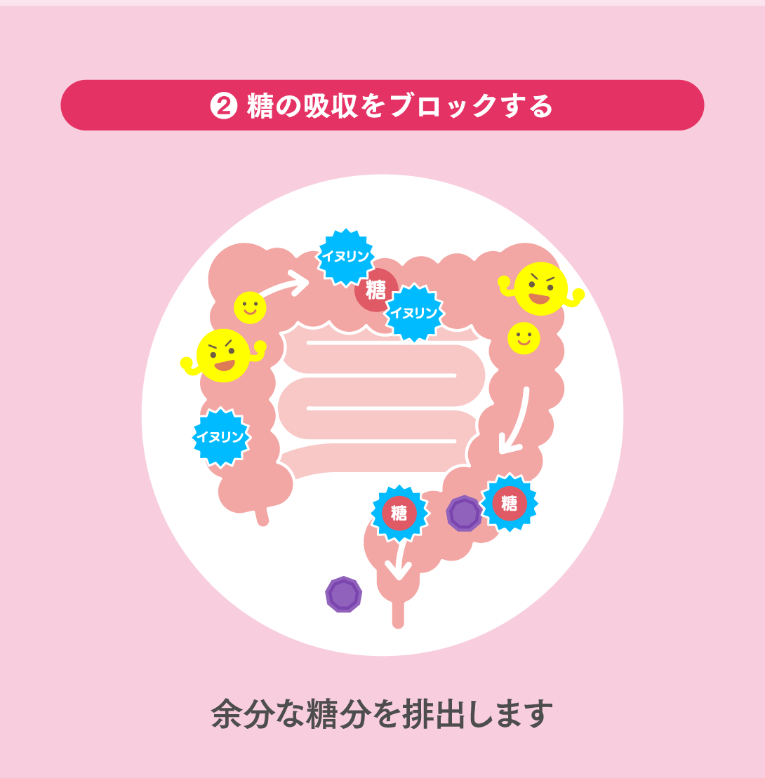 母の日ギフト【機能性表示食品】菊芋の極み 単品2袋
