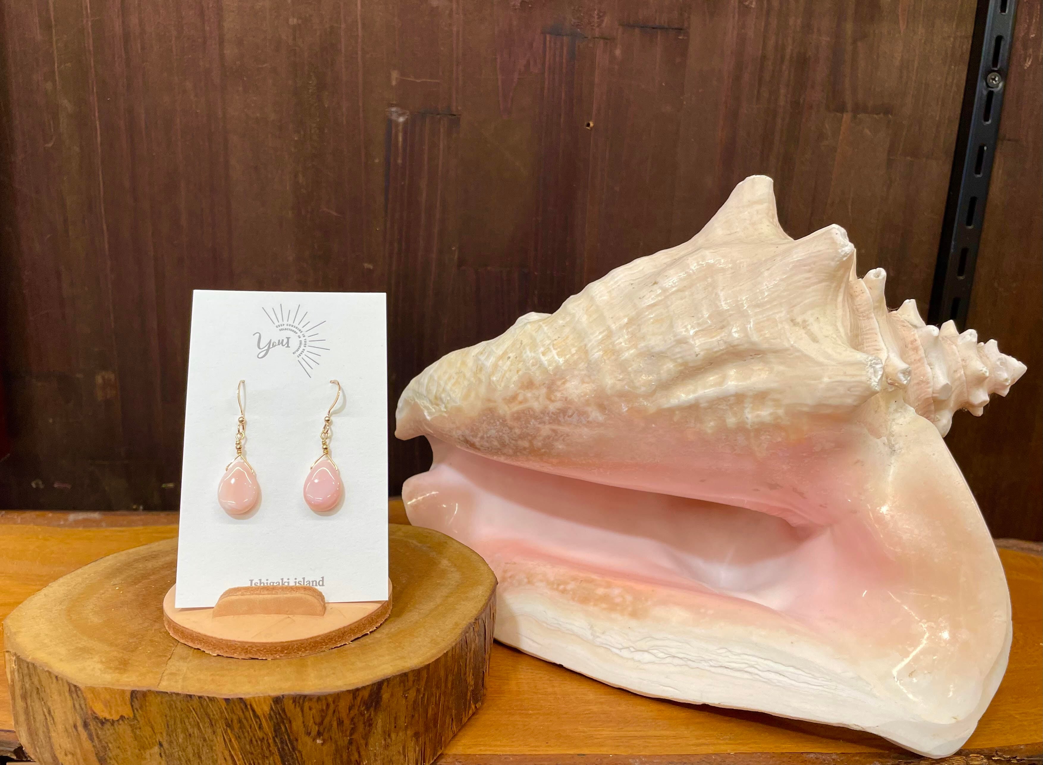 専用　特上　コンク貝　4個セット　ピンク貝殻　　28cm　置物　貝殻 コンク貝 専用 特上 コンク貝 4個セット ピンク貝殻 28cm 置物 貝殻