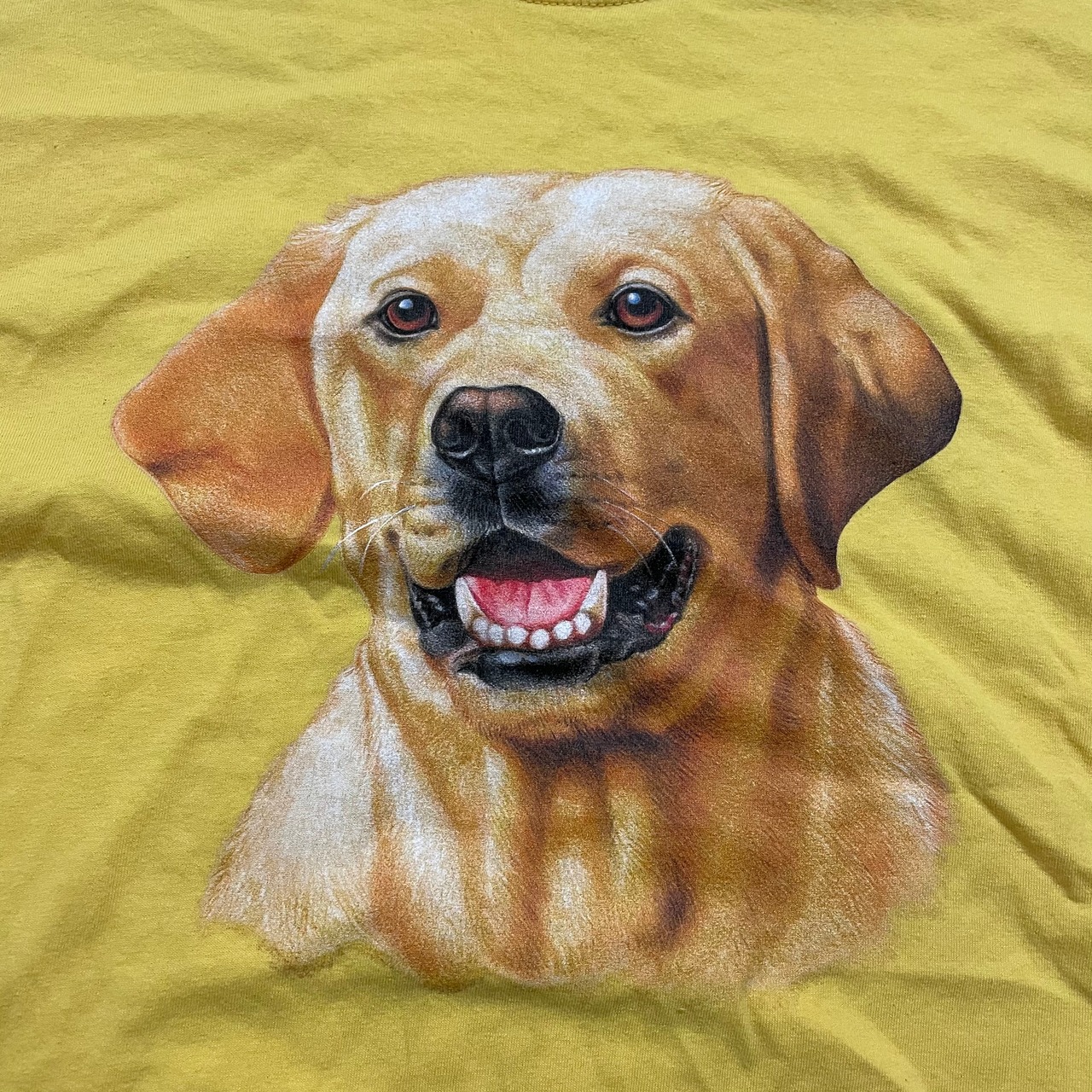 DOG PRINT T's