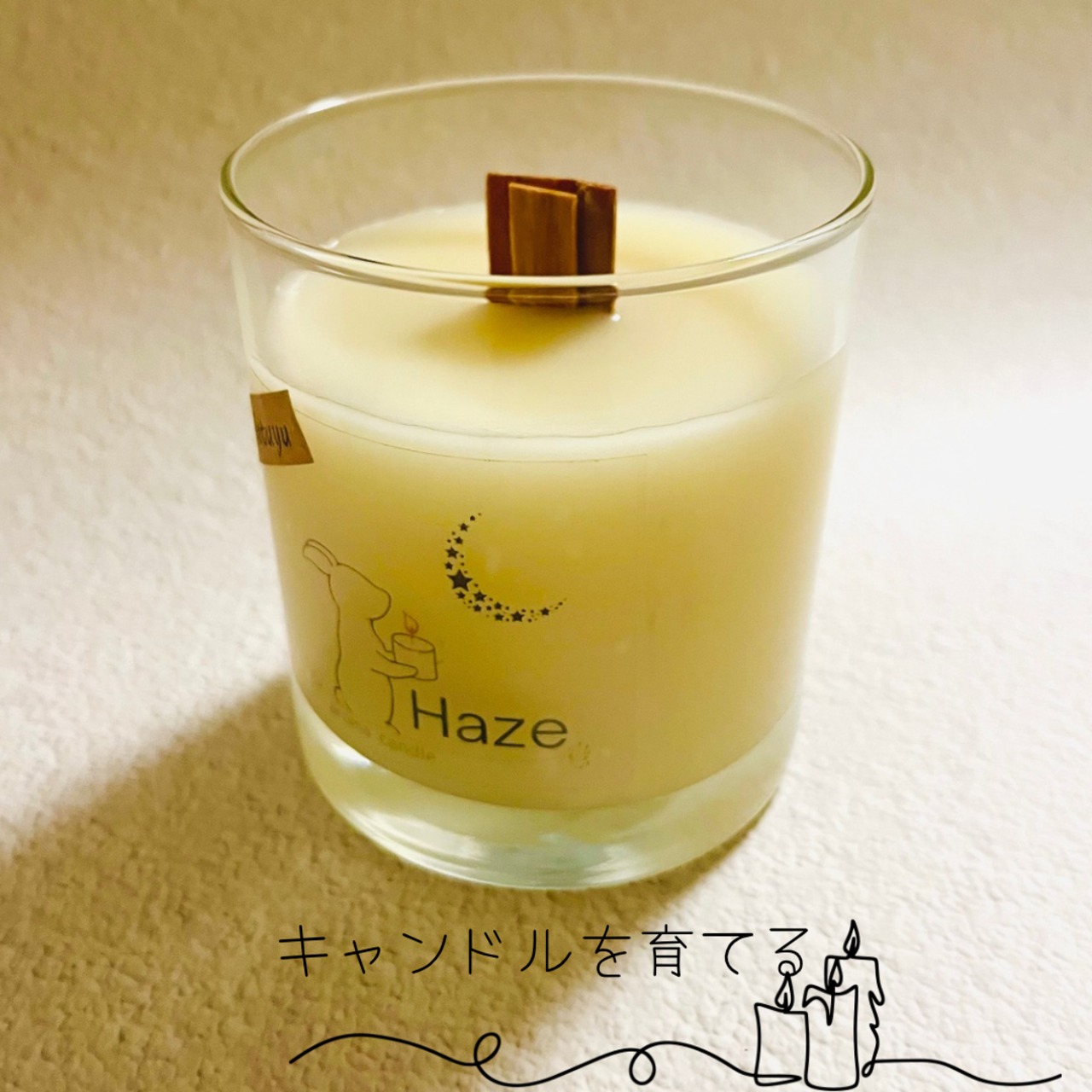 定期便 【Asatuyu】〖受注生産〗瓶Lサイズ(木芯)100％植物由来