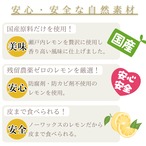 【えがおや特製】レモンソルト【詰め替えタイプ】