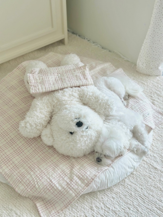 〈予約アイテム〉EYOU / ソフトデイズクールピロー- ピンクチェック