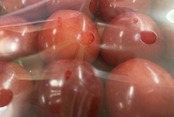 さくらんぼ（紅王）特秀2L・3L　500g入り