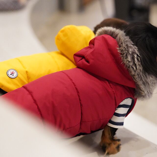 seninon 赤 ダウンジャケット 犬の柄のニット　2点おまとめ ダウンジャケット（ファー付きフード) | カニンヘンダックスと