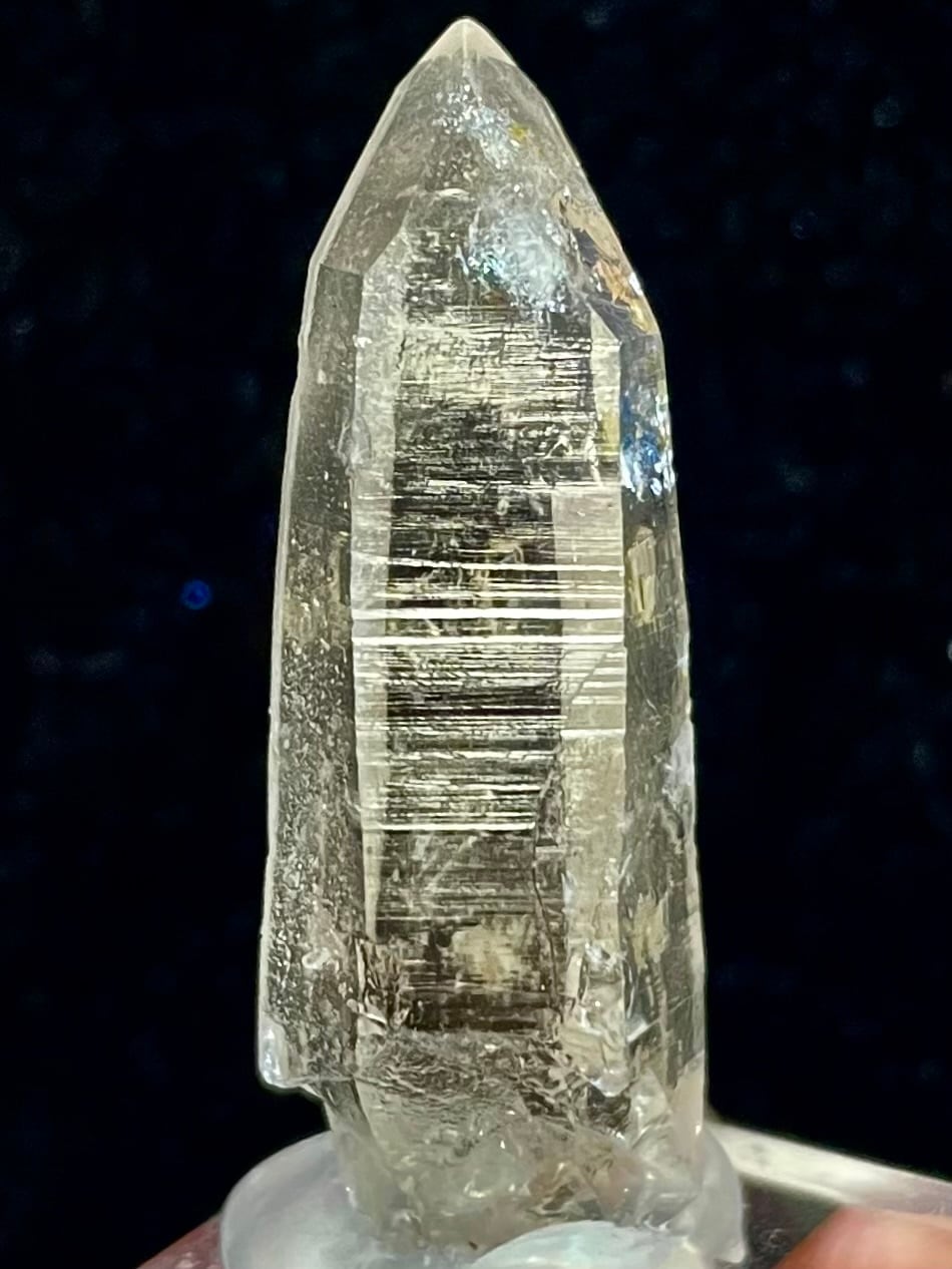 23) ロシアン・レムリアン