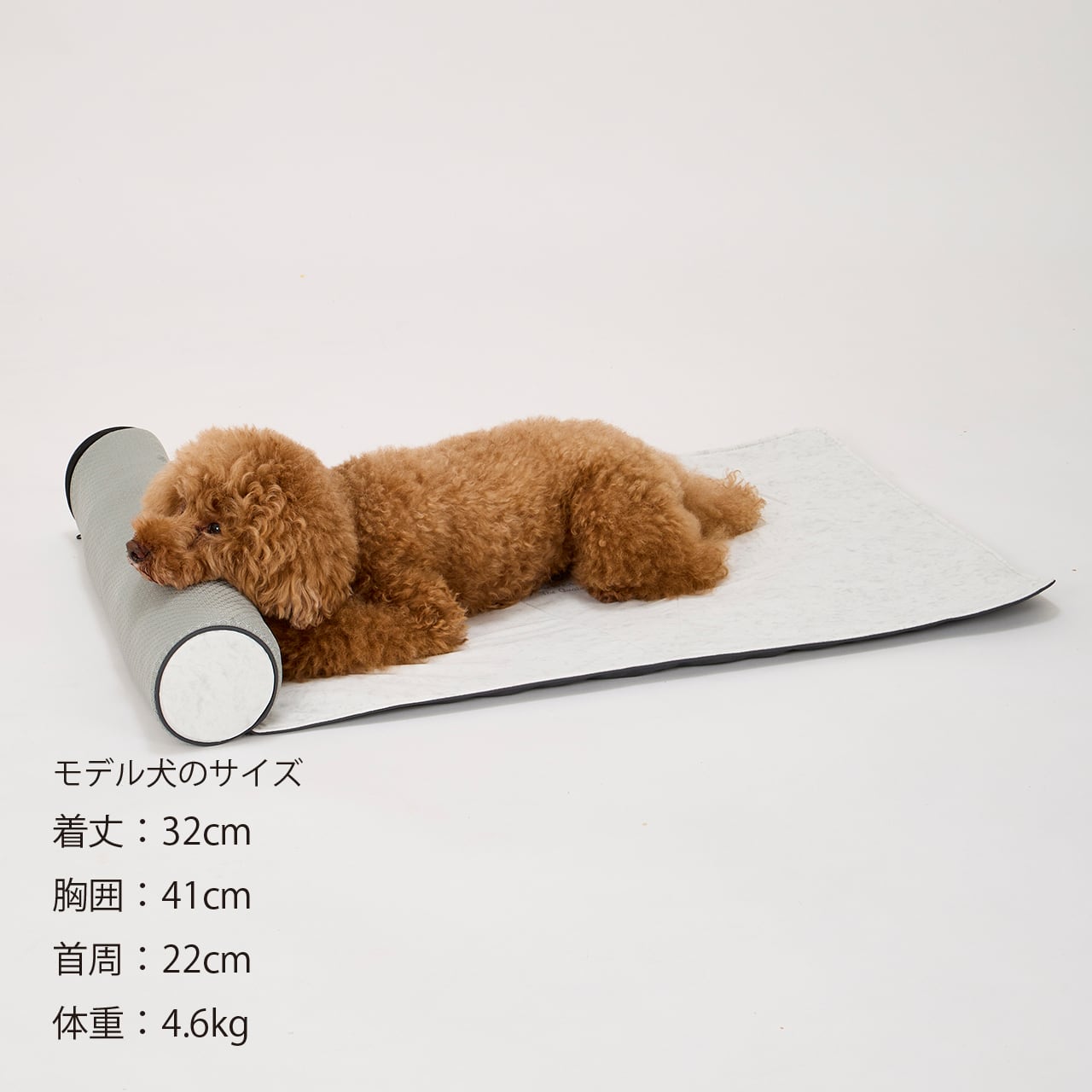 ICY COZY ROOM MAT アイシーコージールームマット | MANDARINE