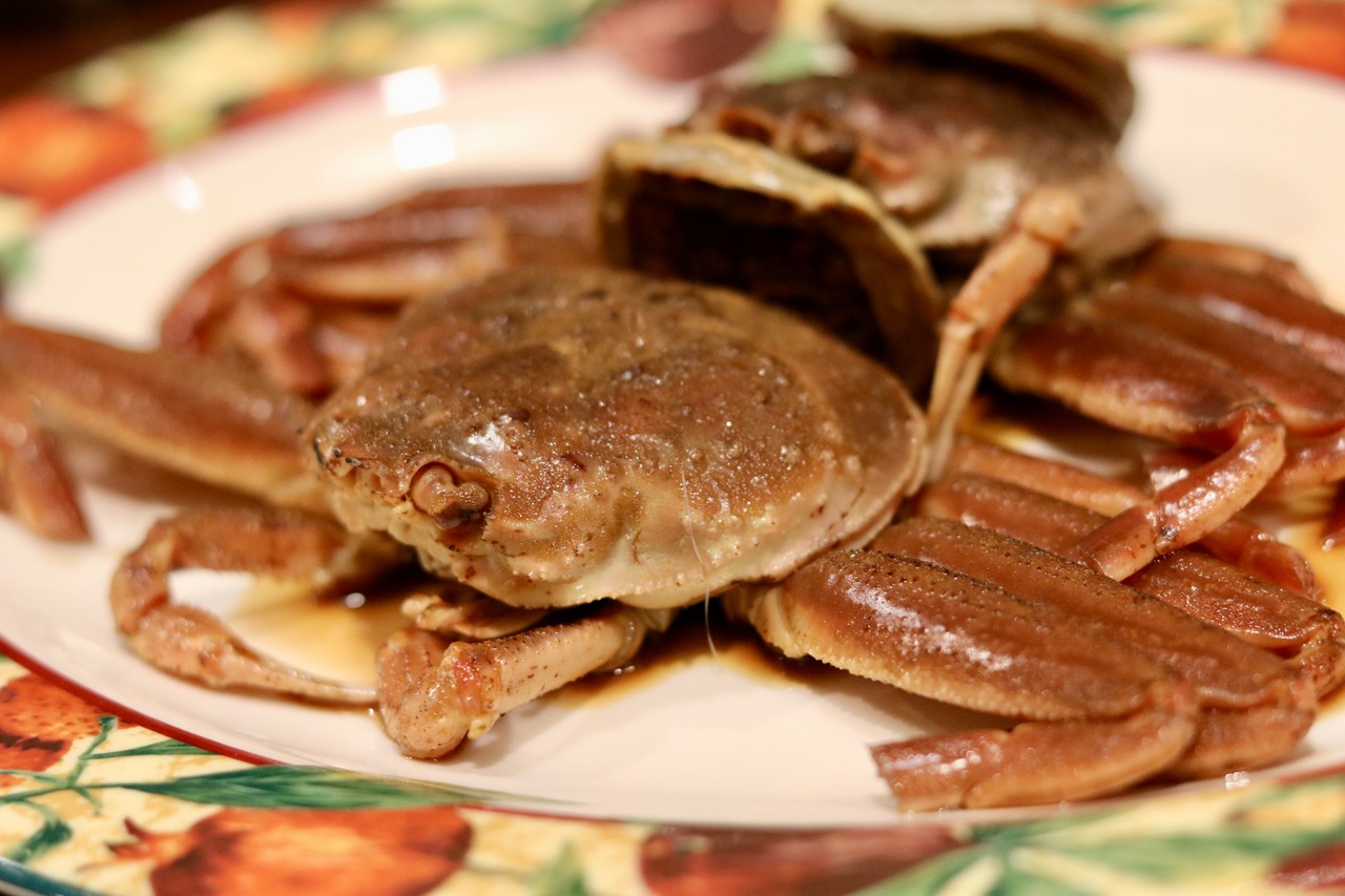 セコガニ/親がに 中【上質】1kg以上（5枚～）