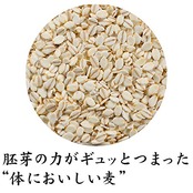 はくばく 胚芽押麦 800g×6袋