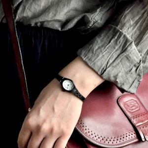 Aristo 2209 -black case-