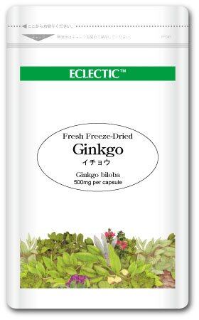 【新着特価】エクレクティック イチョウ (ギンコ) Ecoパック 500mg×45カプセル ec021