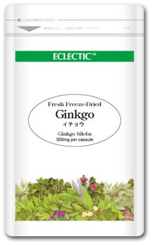 【新着特価】エクレクティック イチョウ (ギンコ) Ecoパック 500mg×45カプセル ec021