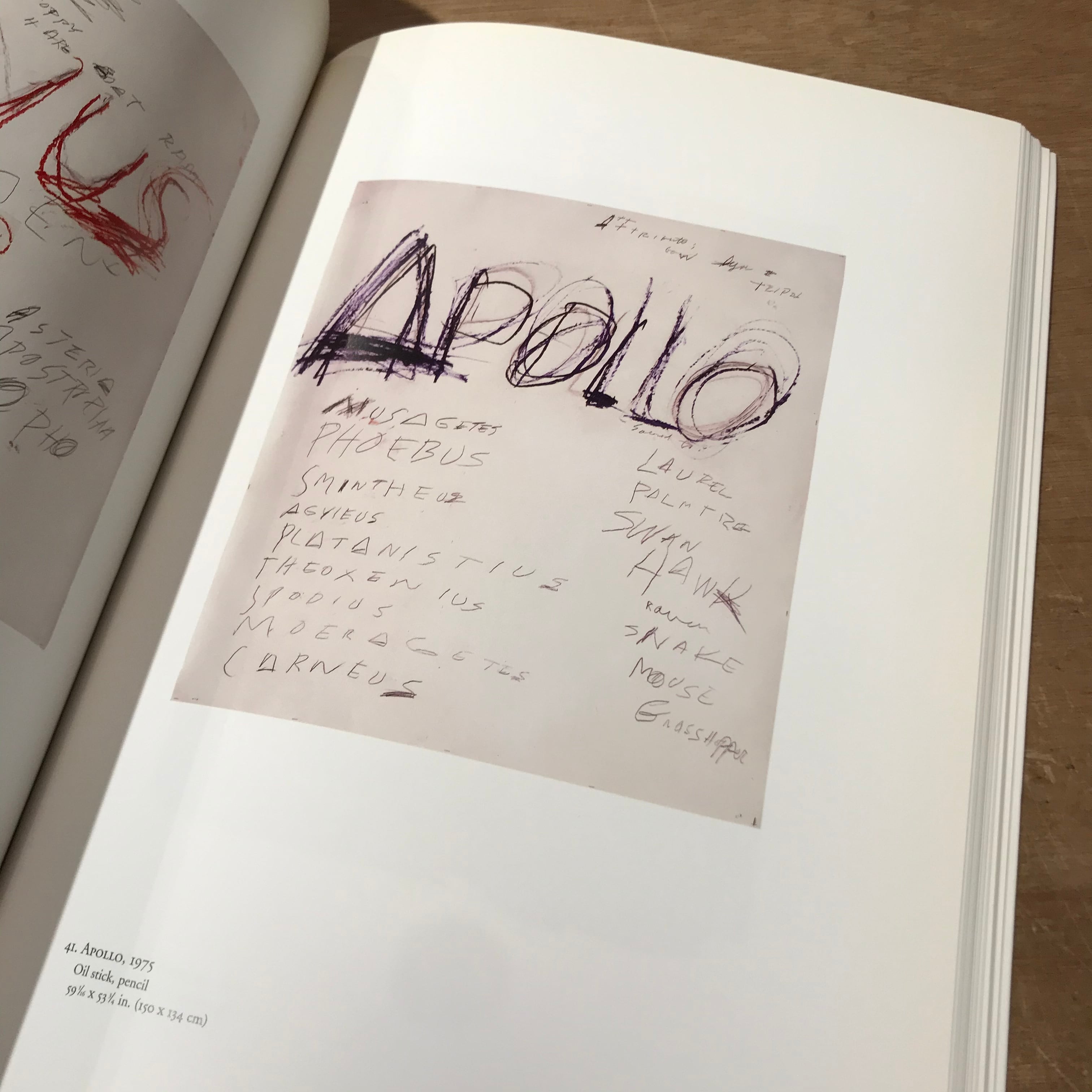 サイ・トゥオンブリー　紙の作品　50年の軌跡　展覧会　図録 サイ トゥオンブリー 紙の作品、50年の軌跡(サイ