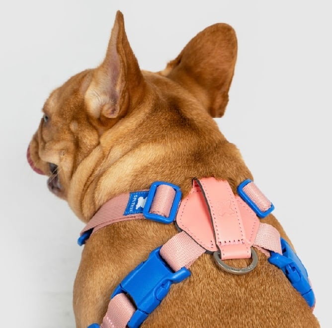 Sサイズ【SPUTNIK】ブランド10周年記念_X型ハーネス | ペット用品