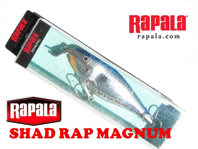 Rapala SHAD RAP MAGNUM SRMAG-12 Silver Blue