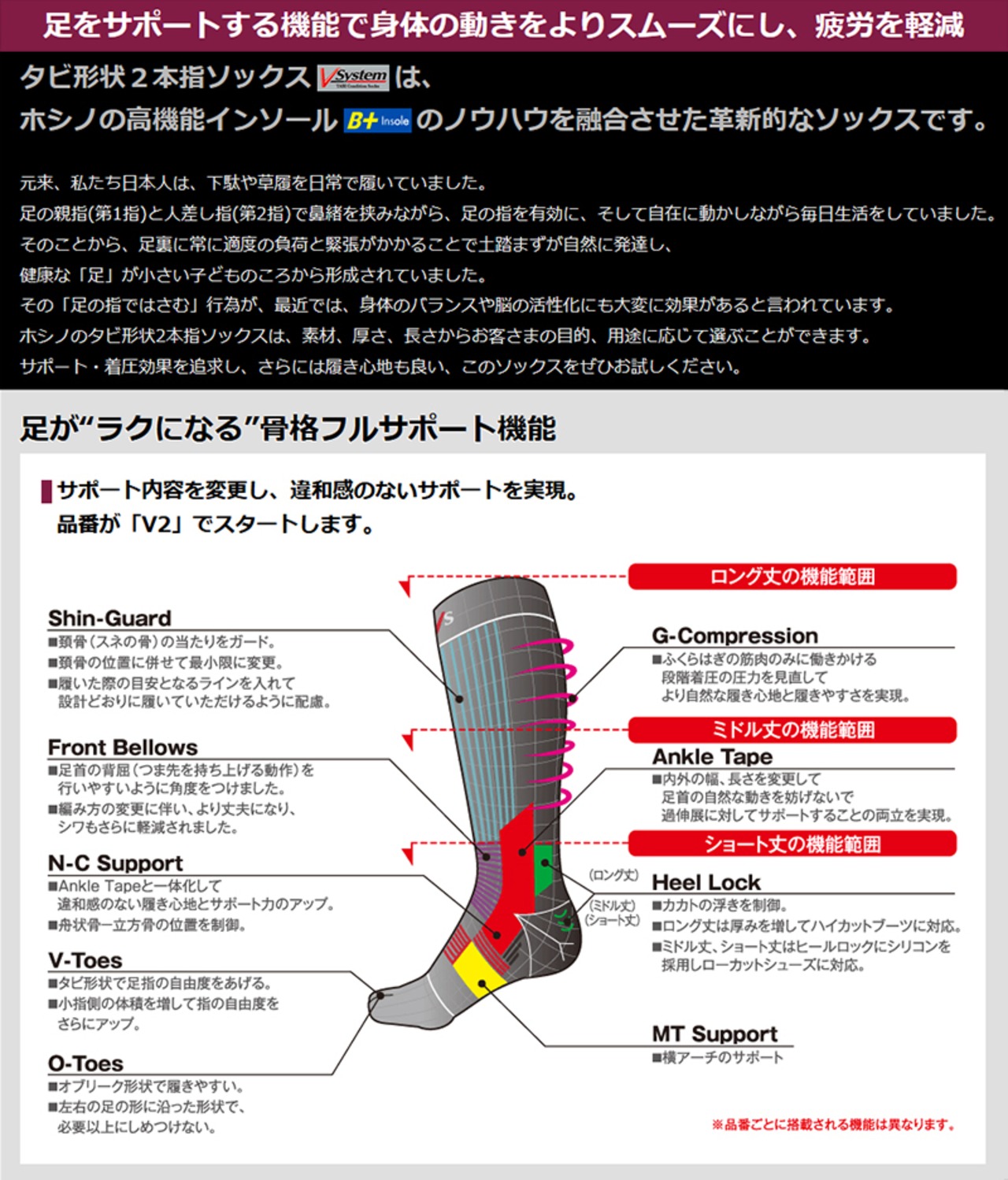 HOSHINO（ホシノ）V-System オブリーク型ソックス O2-DC151 ドラロンコットン・オブリーク型 中厚・ショート丈