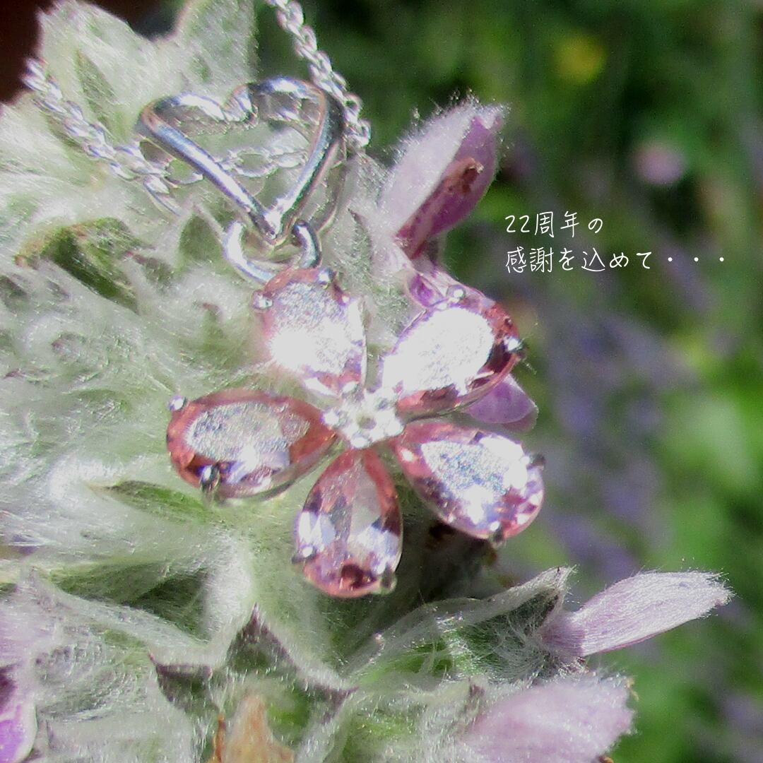 【Sv925】“宝石質” 桜トルマリンペンダント ~22nd Anniversary~