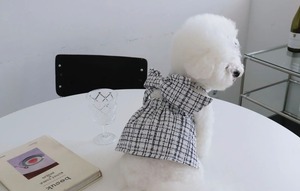 ワンピース
