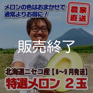 メロン2玉＜色おまかせ＞＜8～9月発送＞