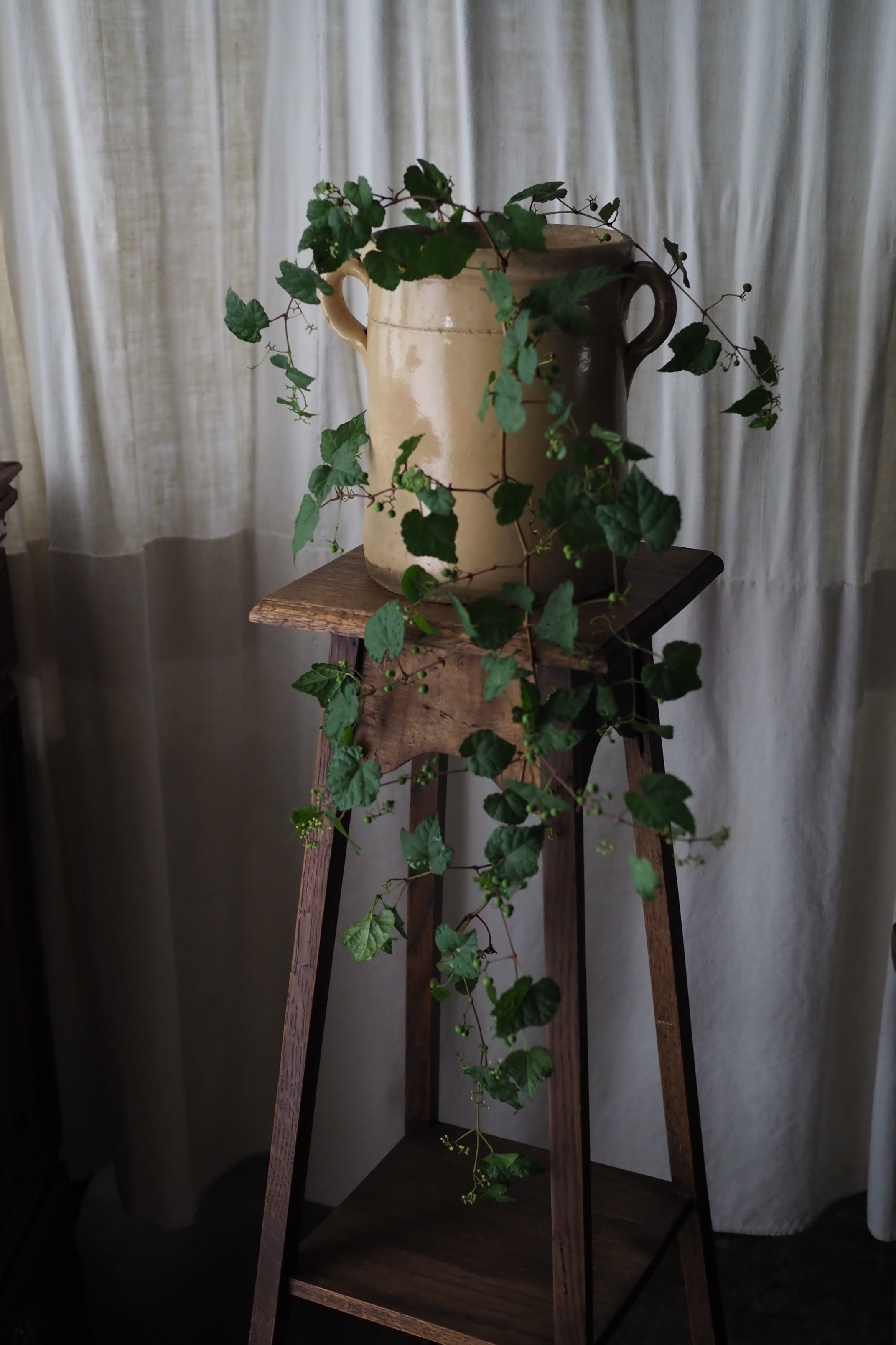 イタリア 両耳のコンフィポット-antique pottery pot | アンティーク