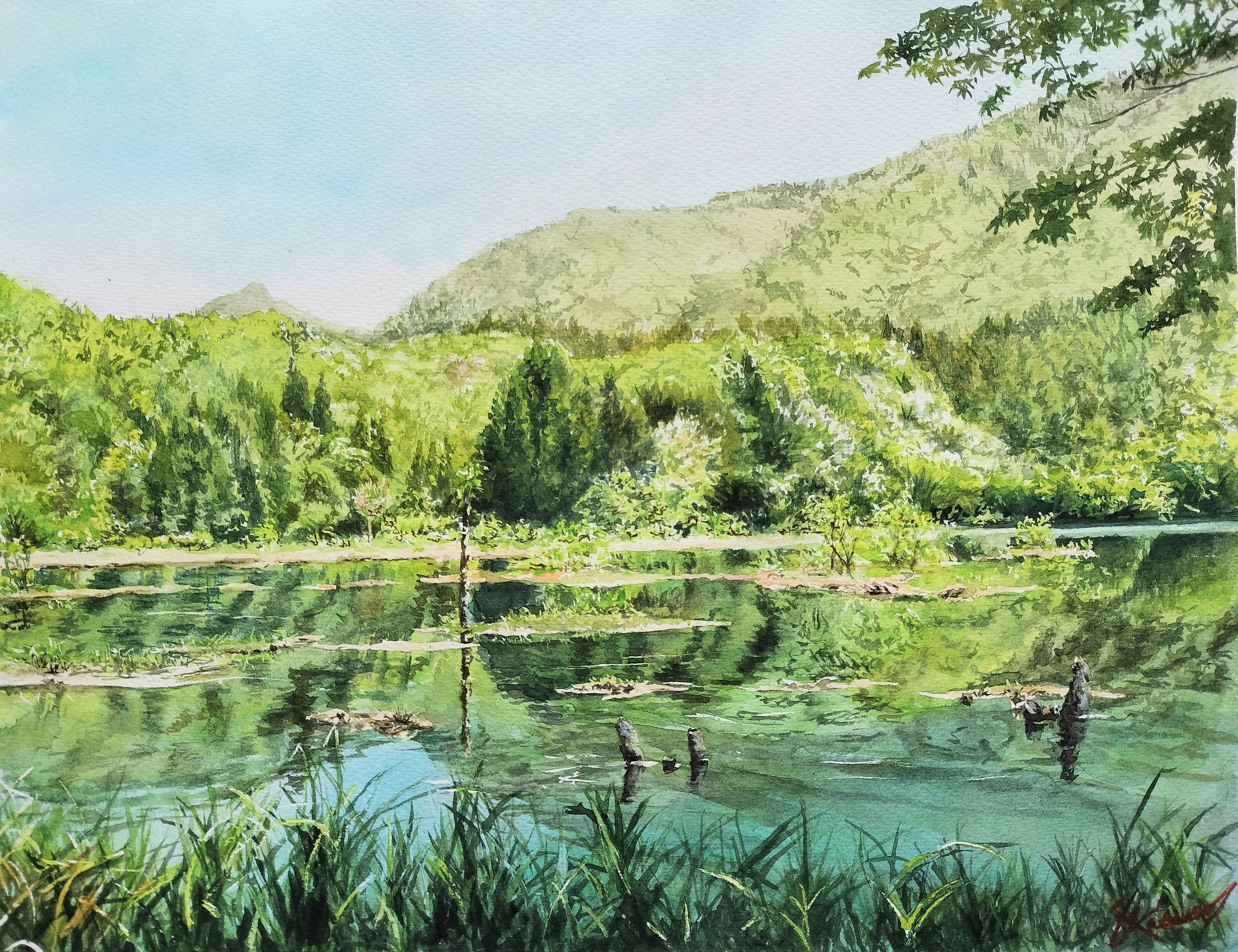 水彩画 画題「新緑の水面」 | yamakasumi56