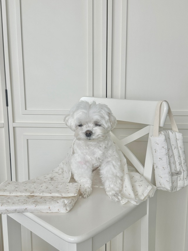 〈予約アイテム〉EYOU / ソフトデイズお散歩ポーチ-フラワー