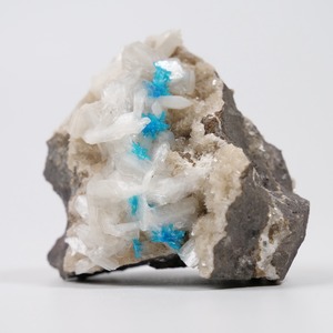 カバンサイト / スティルバイト / 原石 標本