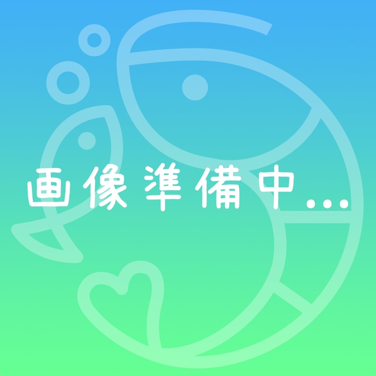 ブラックファンシータイガー 黒花虎 10匹