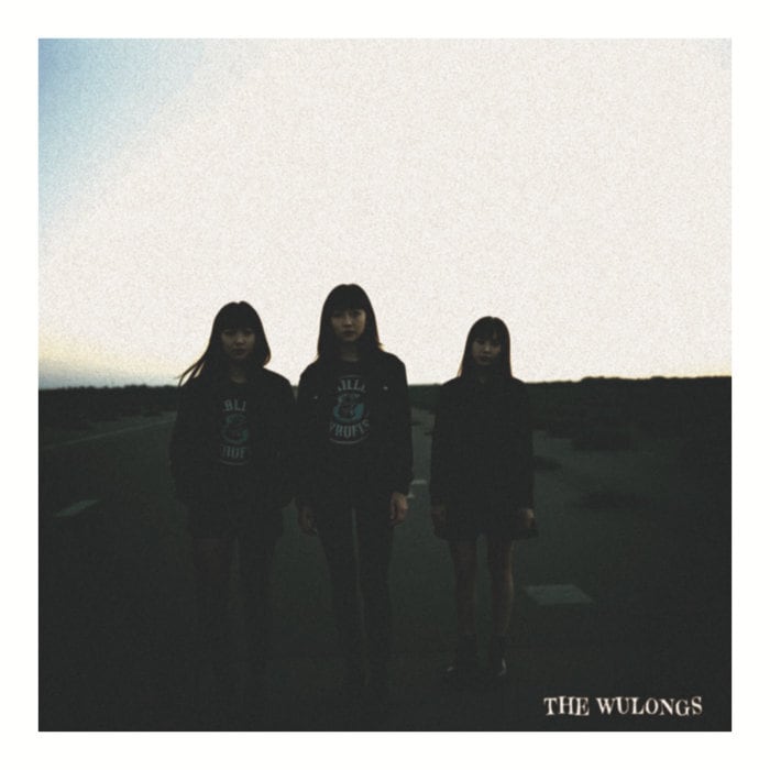 d*o様 THE WULONGS Videodrome クリア盤 特典】the Wulongs / Videodrome (Black Vinyl) | The Domestic