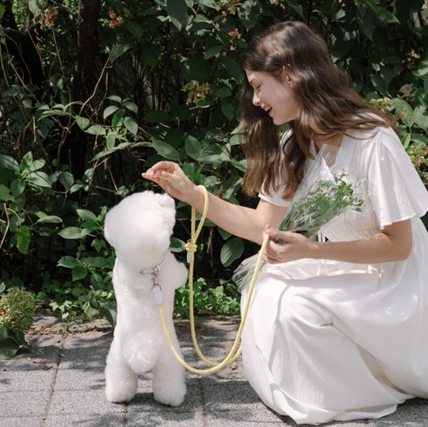 予約【stroll】Rope Collar (Lemon)