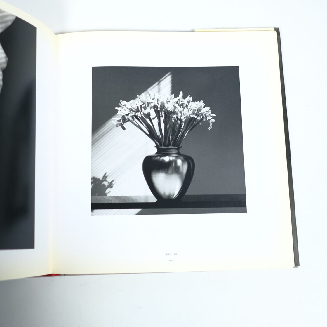 ROBERT MAPPLETHORPE 洋書 写真集 RANDOM HOUSE | PAY ID mapplethorpe まとめ売り