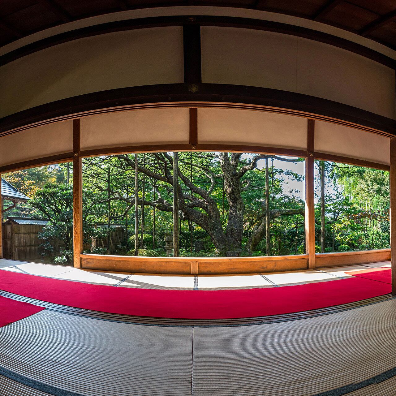 京都大原 宝泉院