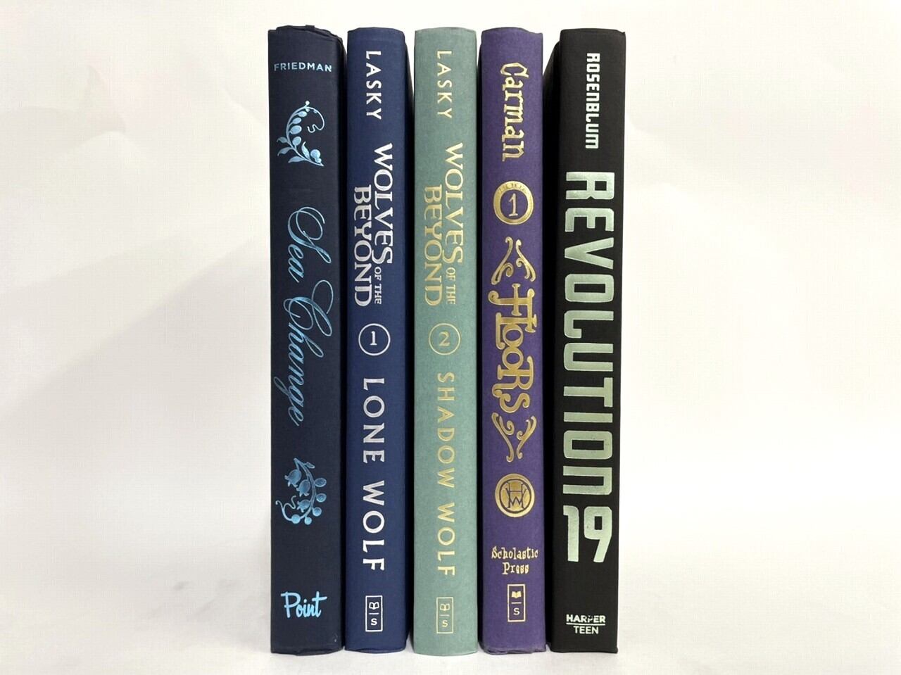 【DC829】REVOLUTION -5set- / display book