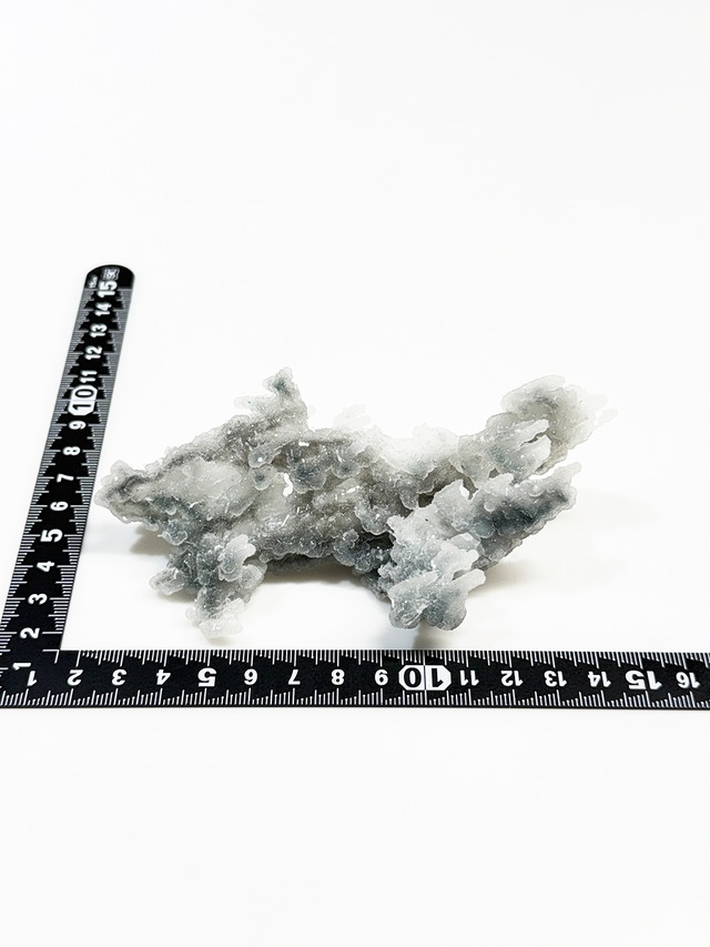 ブルーカルセドニーコーラル【ML-0176】インド