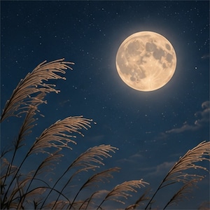 9月限定｜秋宵 — NOCTURNE