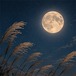 9月限定｜秋宵 — NOCTURNE