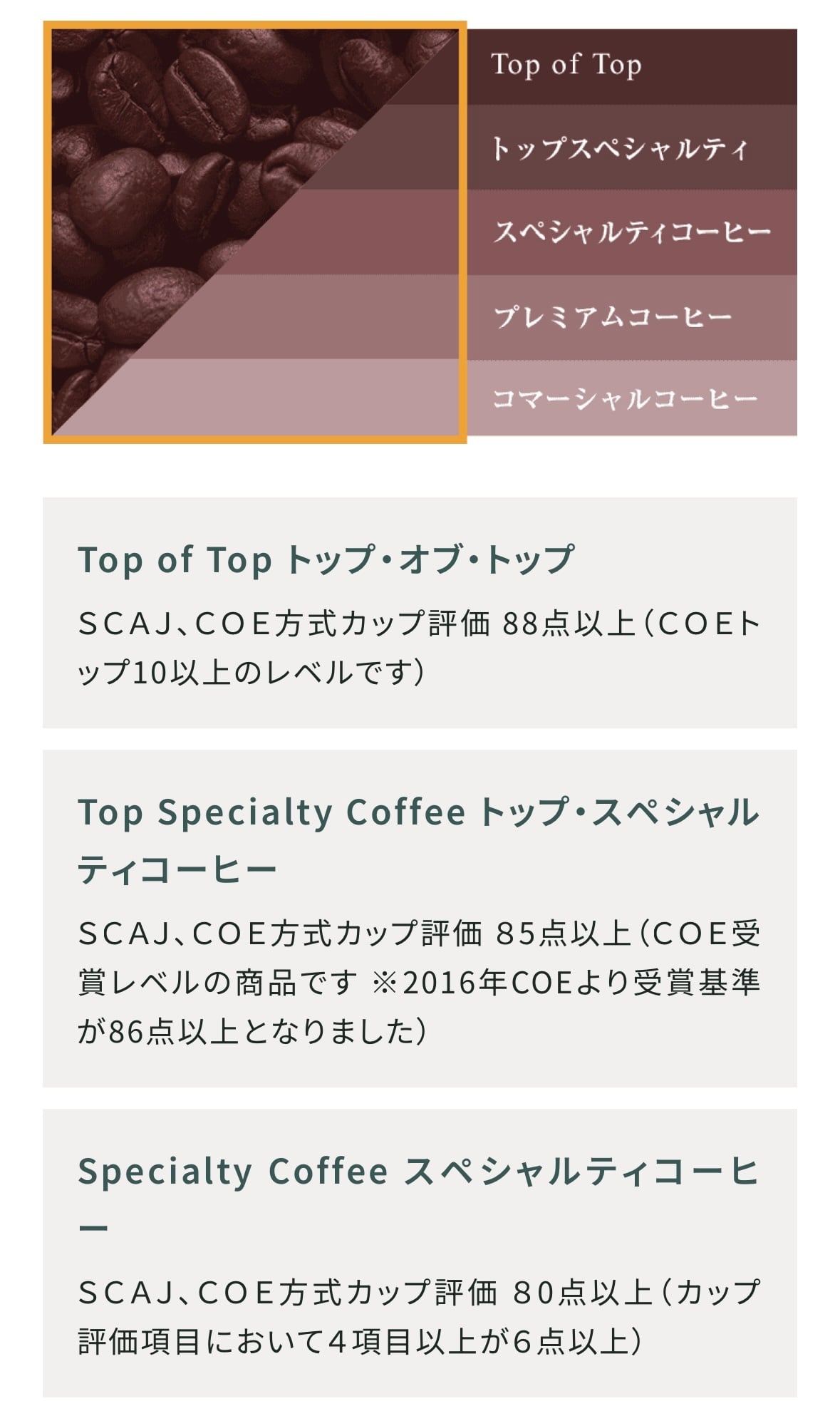 自家焙煎コーヒー豆 ホンジュラス エル・ピノ農園最高規格SHG 中煎り1000g 自家焙煎コーヒー豆 ホンジュラス エル・ピノ農園 最高規格SHG