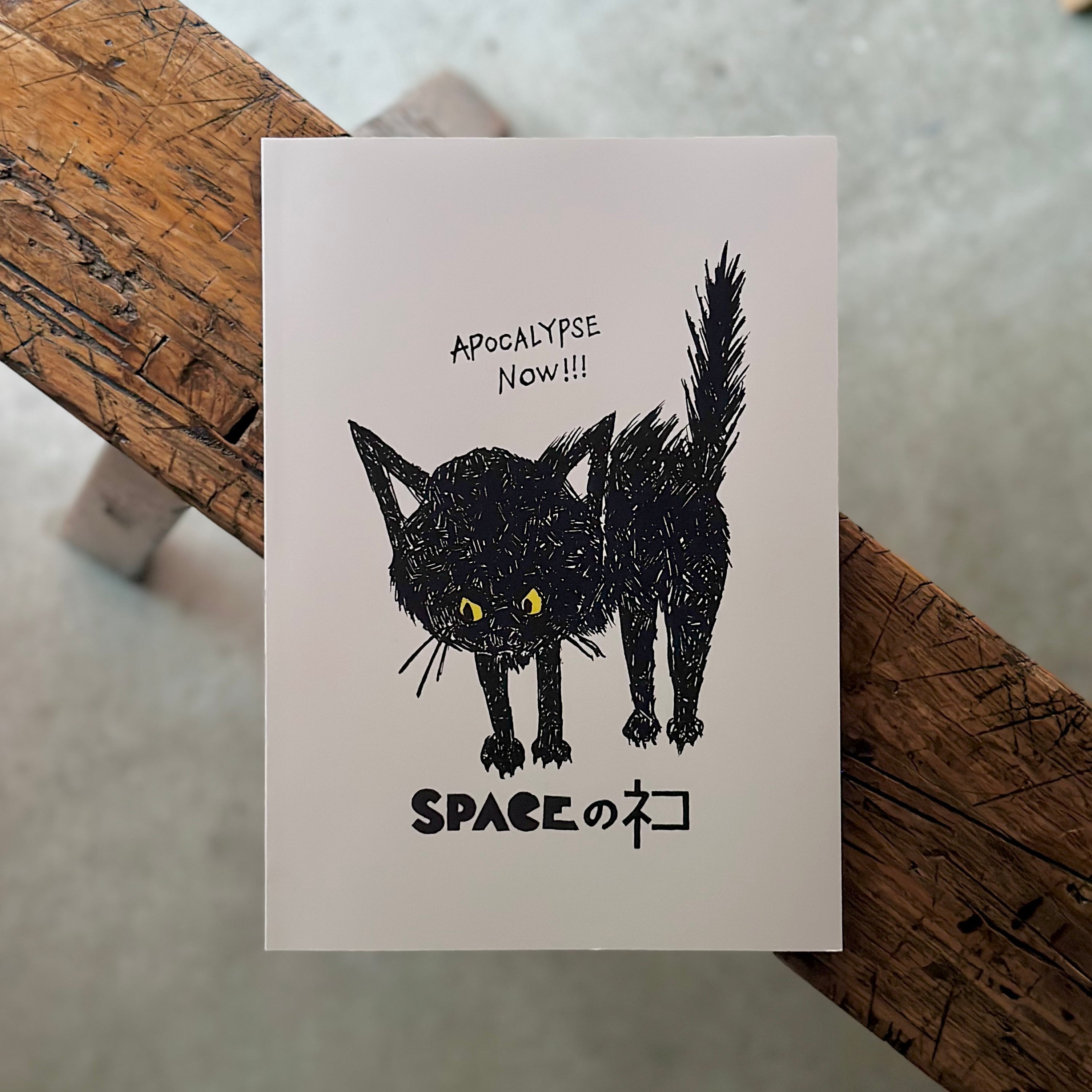 SPACEのネコ