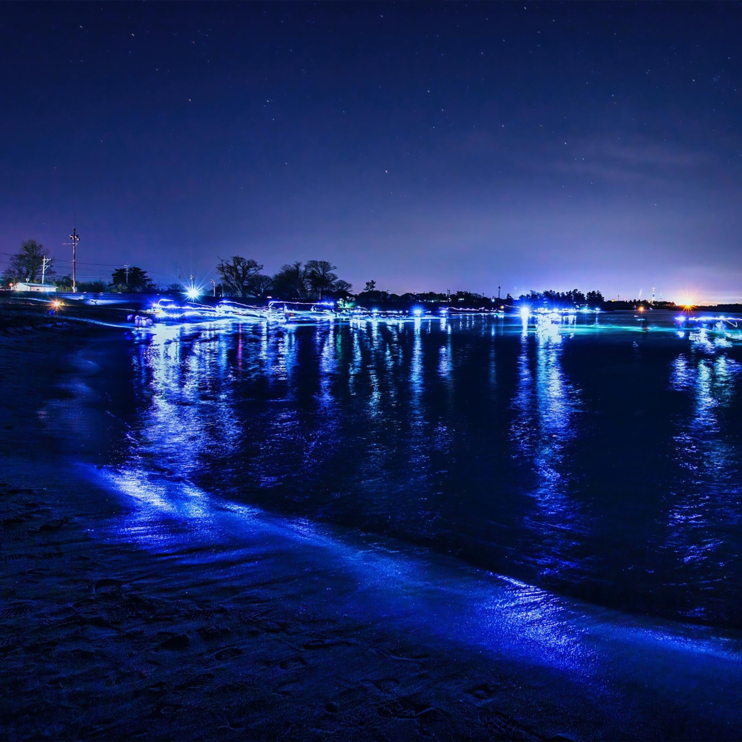 【富山湾】STARUOZU ホタルイカTシャツ【ROCK】