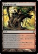 MTG《婆のあばら家/Auntie's Hovel(LRW)》日本語