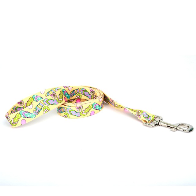 Flip Flops　首輪＋リードセット  Mサイズ - Yellow Dog Design