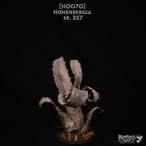 【送料無料】 Hohenbergia sp.357〔ホヘンベルギア〕現品発送H0070