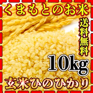 お米 米 10kg 玄米 送料無料 熊本県産 ひのひかり 新米 令和5年産 ヒノヒカリ 5kg2個 くまもとのお米