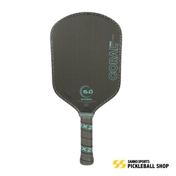 スタートセット JOOLA AGASSI/GRAF CHAMPION PICKLEBALL PADDLE SET