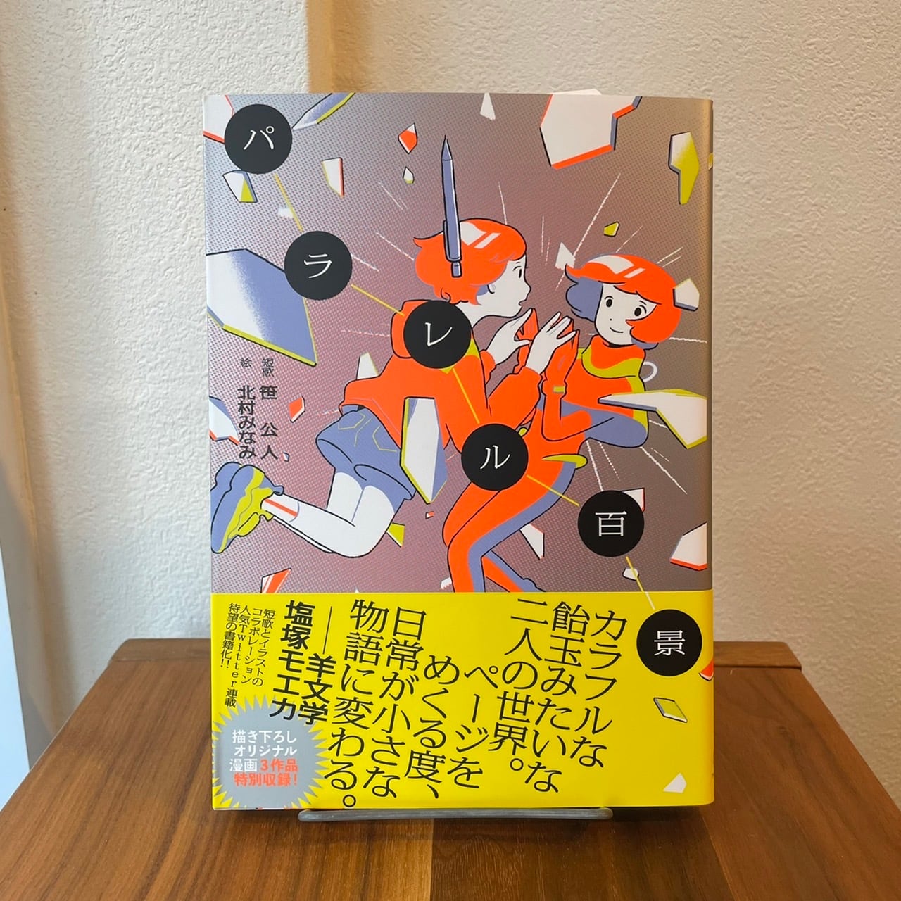 ソウルメイト｜川島小鳥／臼田あさ美 | 本の栞