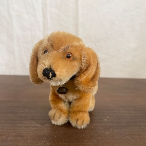 シュタイフの子犬1